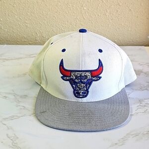 MITCHELL & Ness Chicago Bulls Hat.